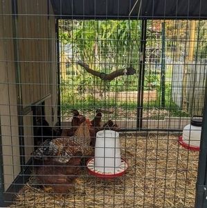 Meet your Posher, Frank